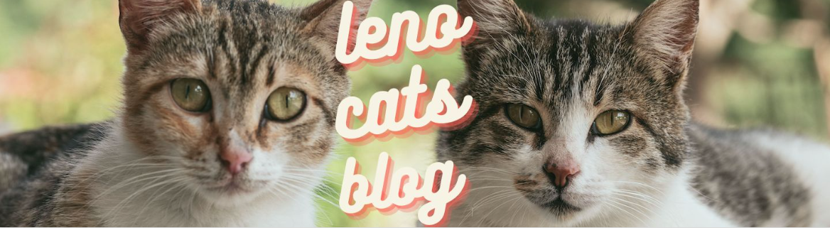 レノブログ〜猫の里〜